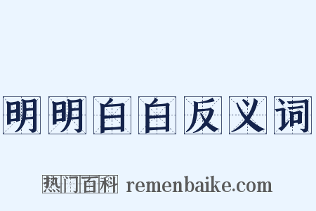 明明白白反义词是什么意思的图片